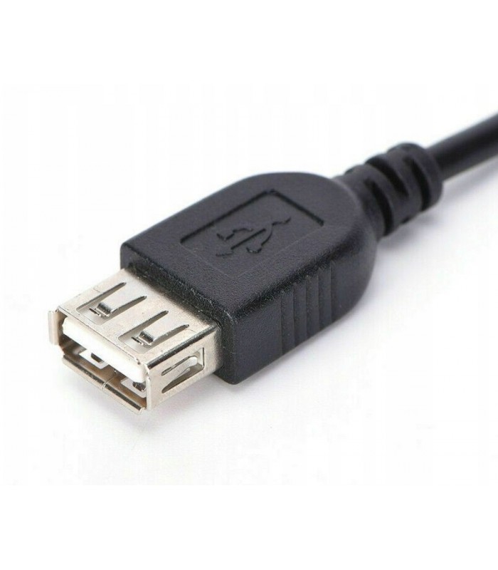 Kabel USB F żeński Adapter do konsoli Xbox Classic
