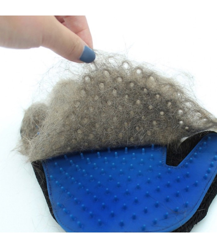 Rękawica do czesania sierści zwierząt Psa Kota