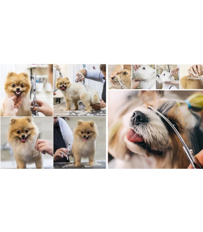 Zestaw do strzyżenia psa zwierząt 3 Nożyczki Grzebień Fryzjer psa